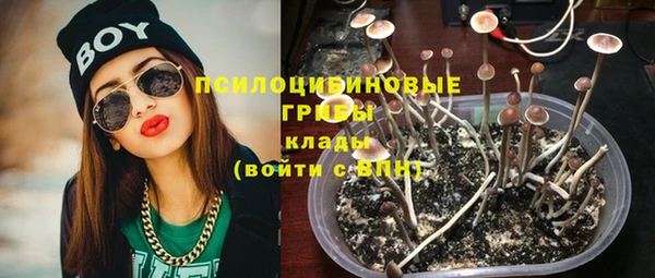ГАЛЛЮЦИНОГЕННЫЕ ГРИБЫ Алексеевка