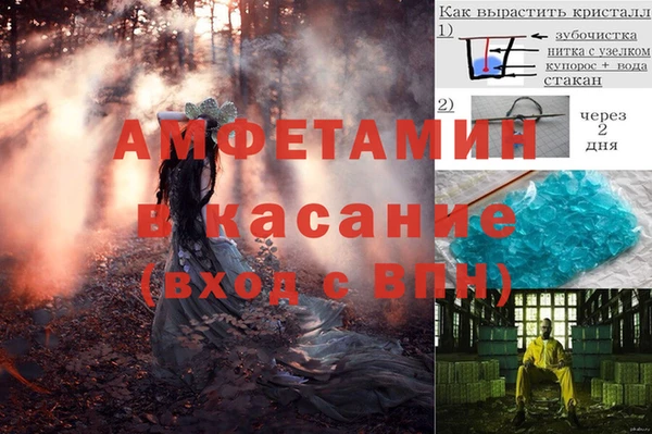 apvp Алзамай
